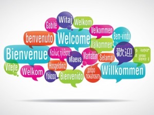 Tag der Muttersprache 2014