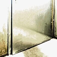 Ausschnitt aus dem Buchhcover "Corpus Delicti" vno Juli Zeh