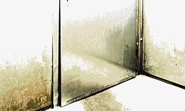 Ausschnitt aus dem Buchhcover "Corpus Delicti" vno Juli Zeh