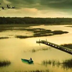 Moorlandschaft in der Dämmerung